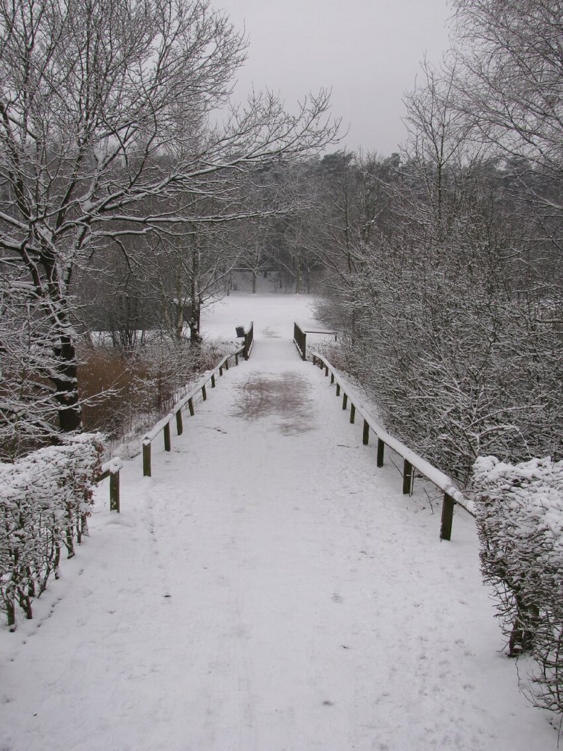 Winter in Emsland - Holzbrücke in North-West Germany