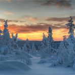 Winter in Enontekiö