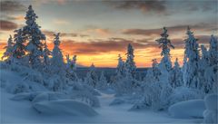 Winter in Enontekiö