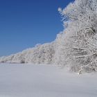 Winter in Erfurt