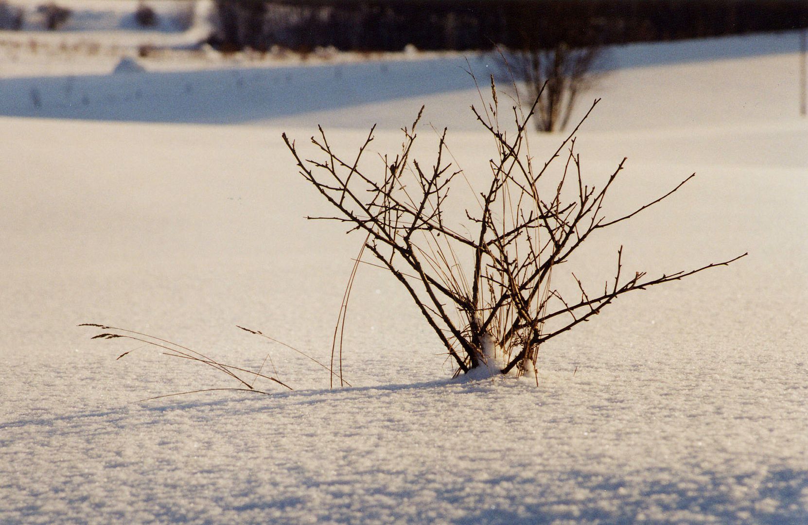 Winter in Ermland