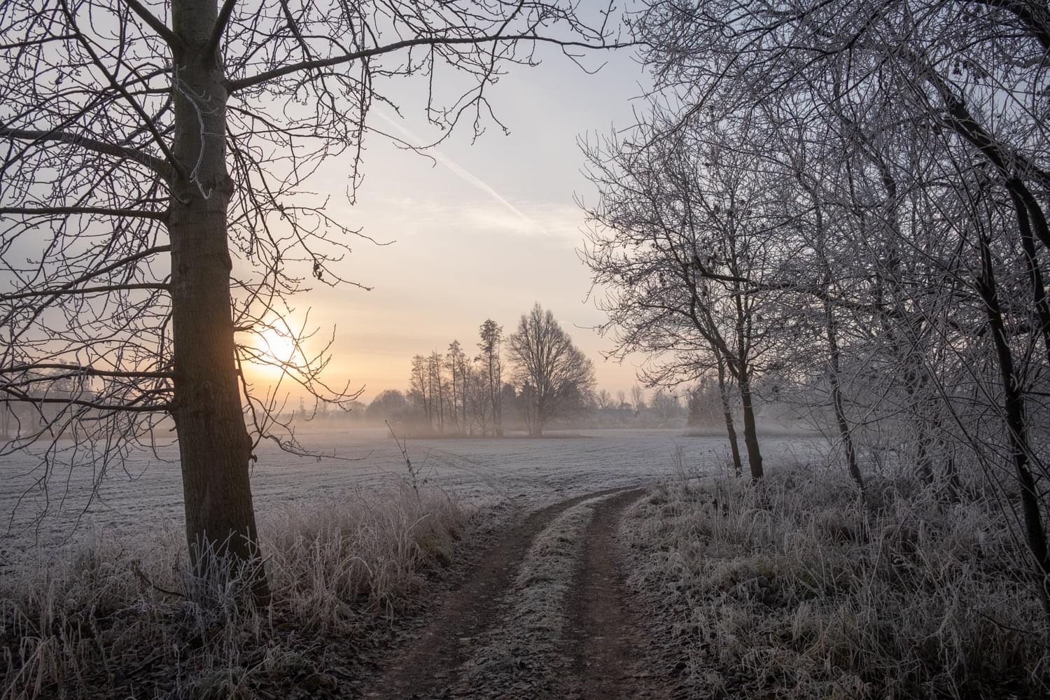 Winter in Falkenberg