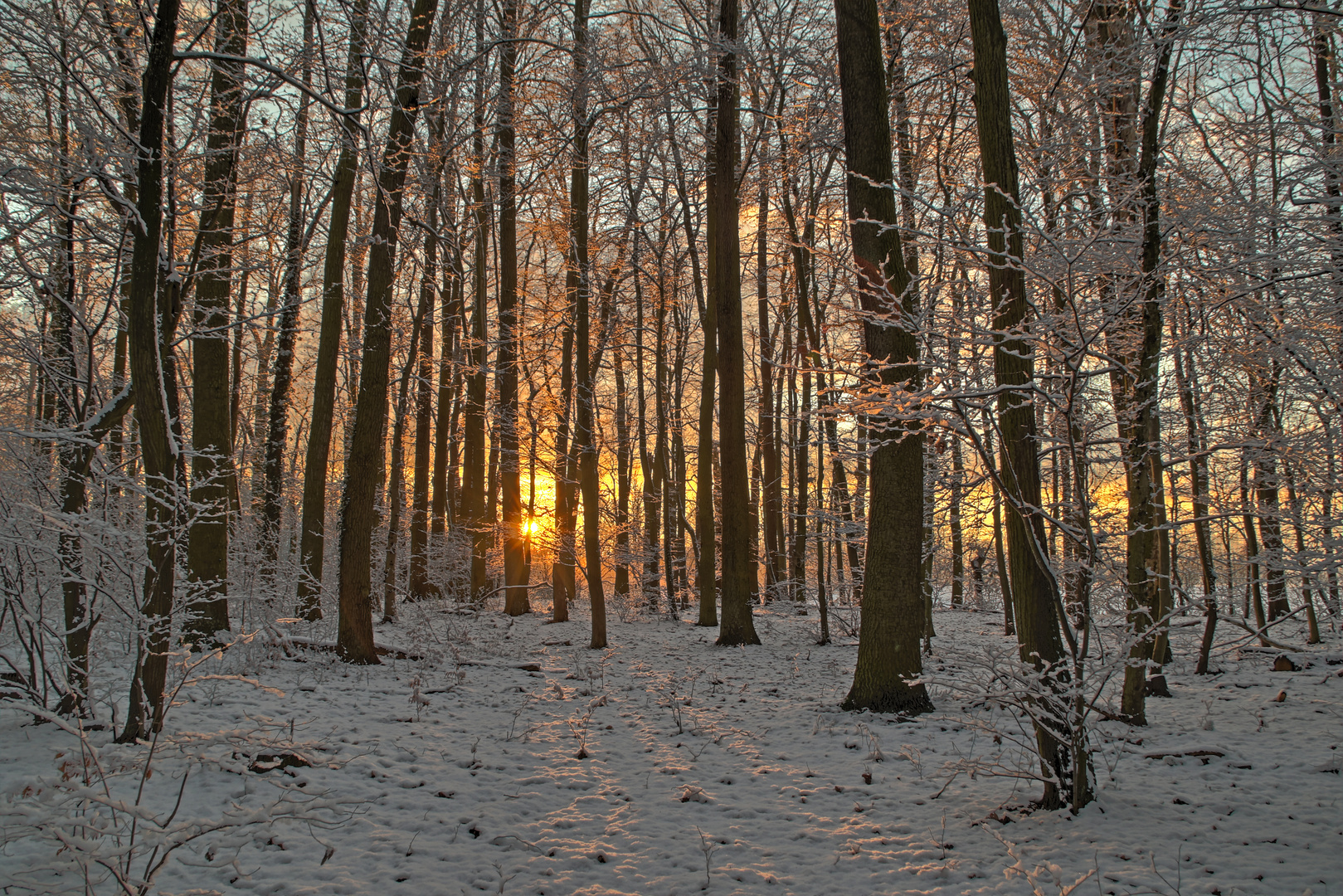 Winter in Falkensee