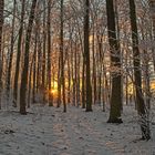 Winter in Falkensee