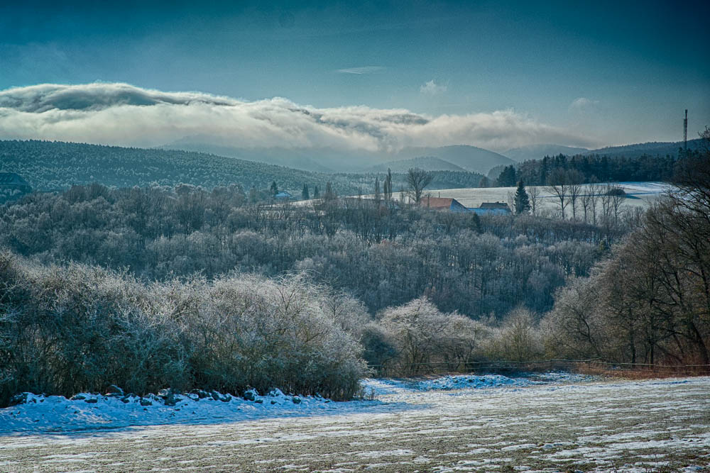 Winter in Feld und Wald