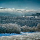 Winter in Feld und Wald