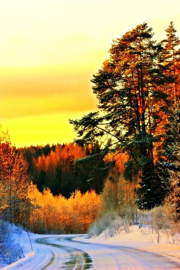 WINTER IN FINLAND I