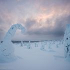 Winter in Finnland