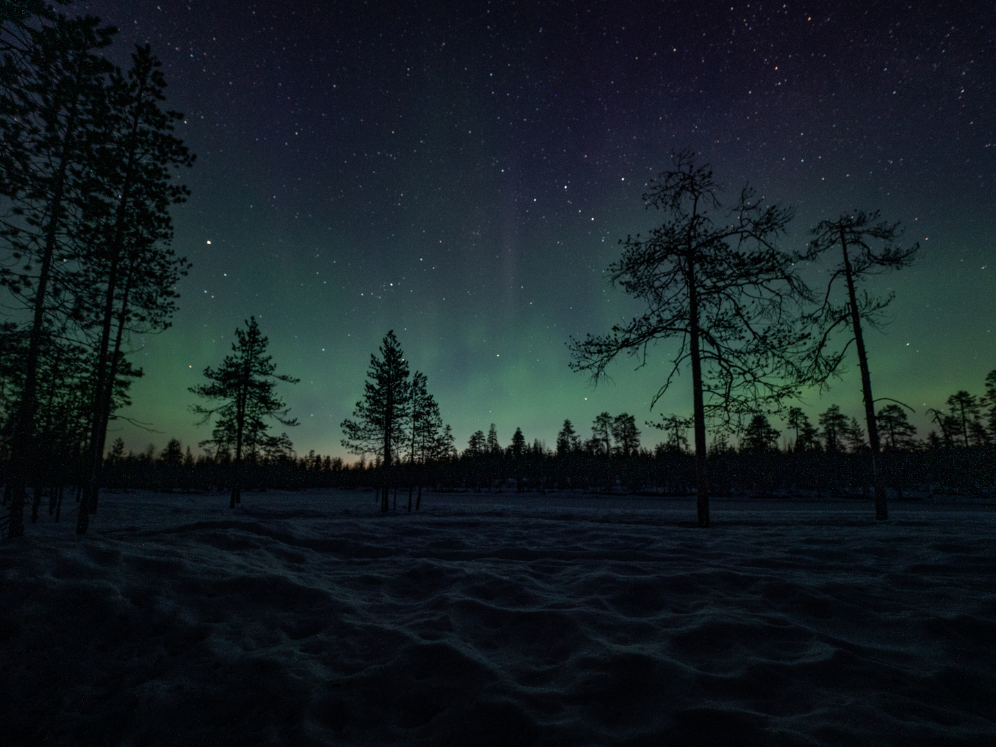 Winter in Finnland