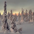 Winter in Finnland