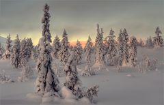 Winter in Finnland