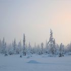 Winter in Finnland