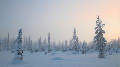 Winter in Finnland