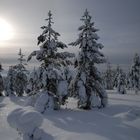 Winter in Finnland