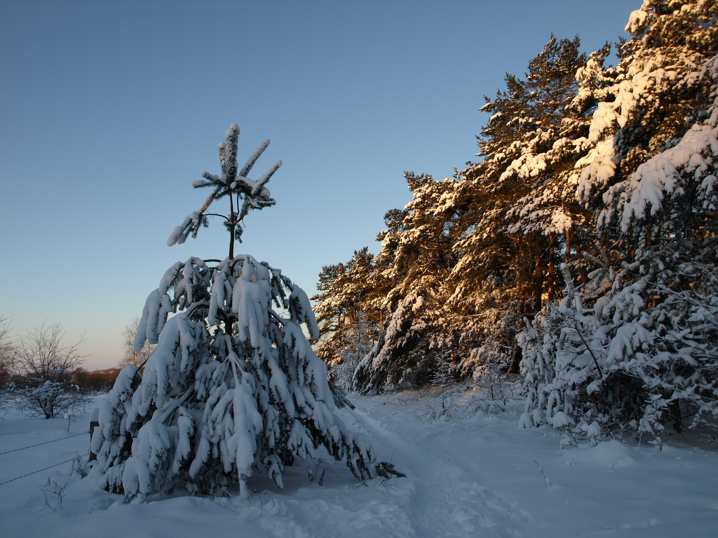 Winter in Flensburg