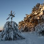 Winter in Flensburg