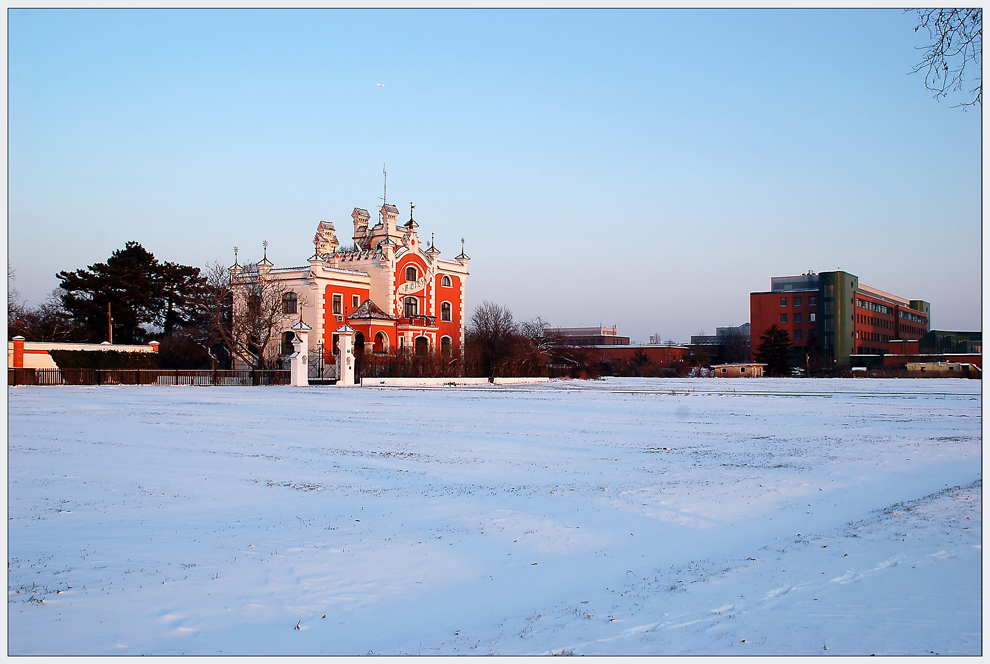 Winter in Floridsdorf -2-