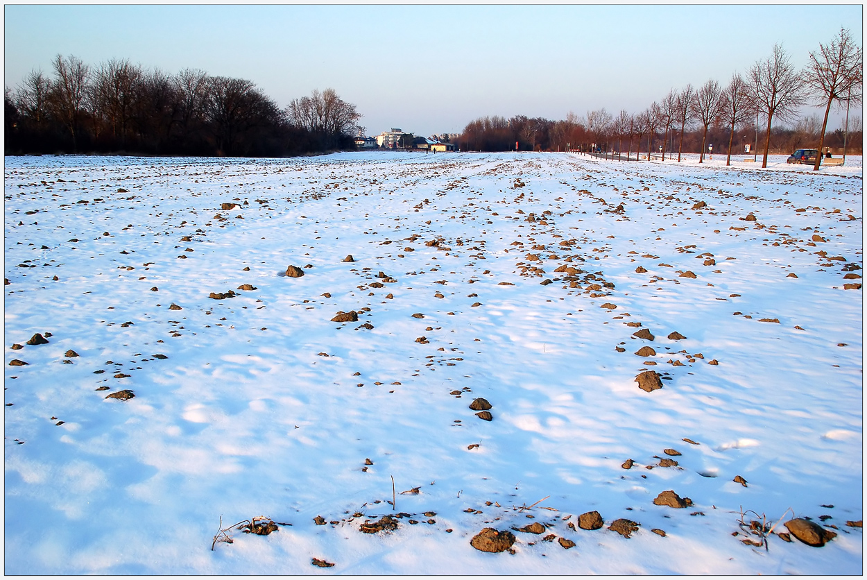 Winter in Floridsdorf 2