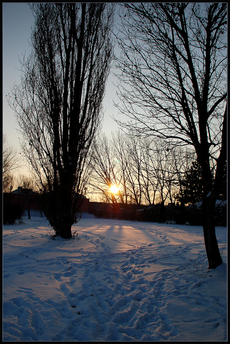 Winter in Floridsdorf  -5-