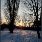 Winter in Floridsdorf  -5-