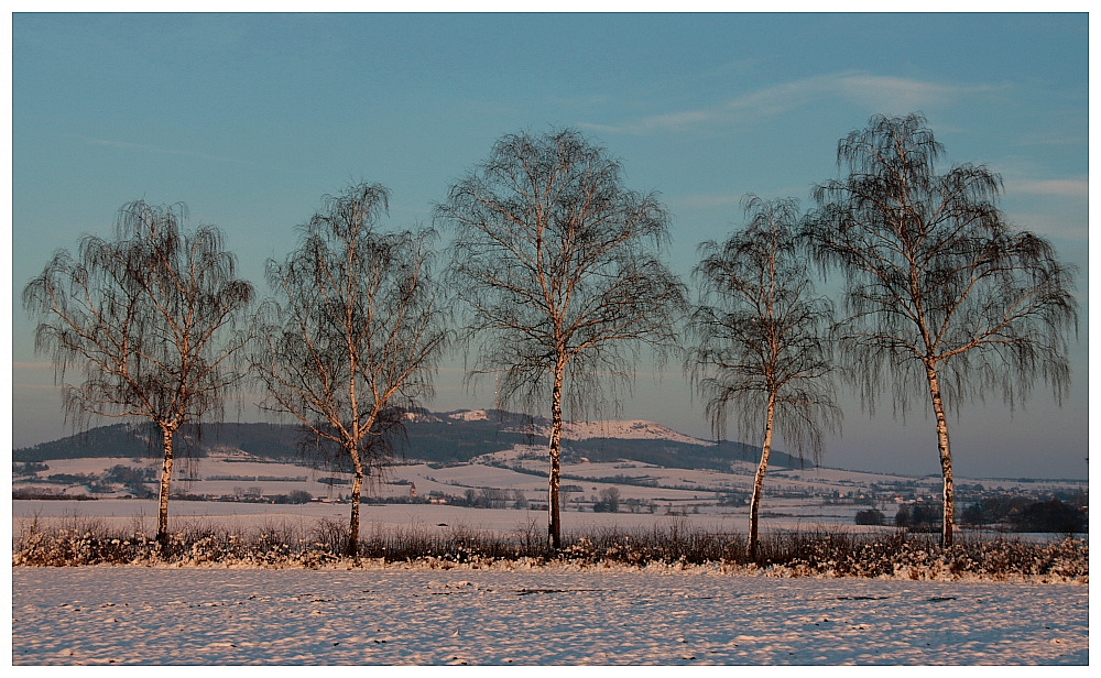 Winter in Franken (2)