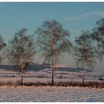 Winter in Franken (2)