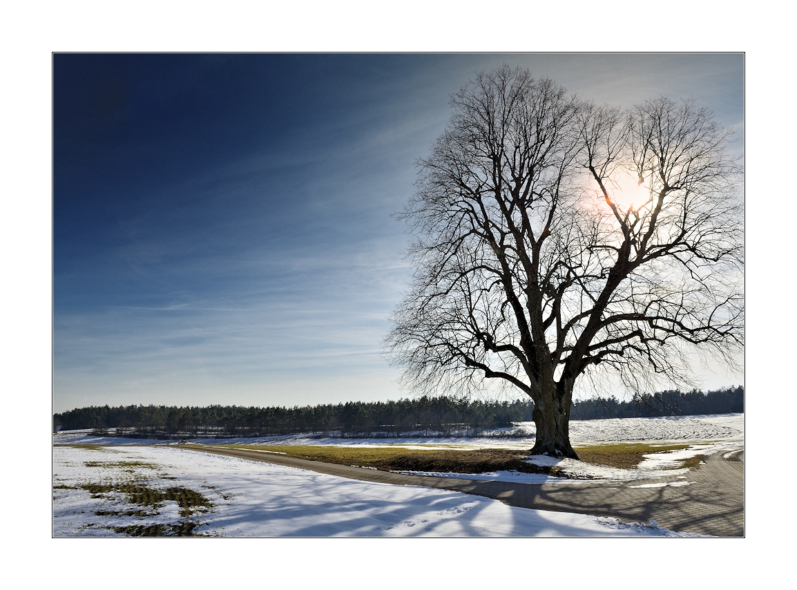 winter in franken