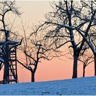 winter in franken