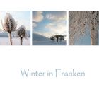 Winter in Franken (Ende)