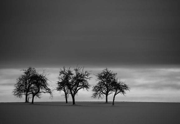 Winter in Frankenburg 01.01.2015