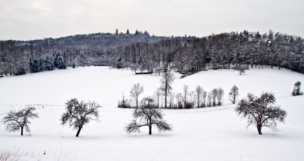 Winter in Frankenhardt