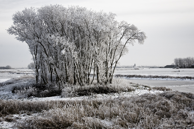 Winter in Friesland