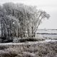 Winter in Friesland