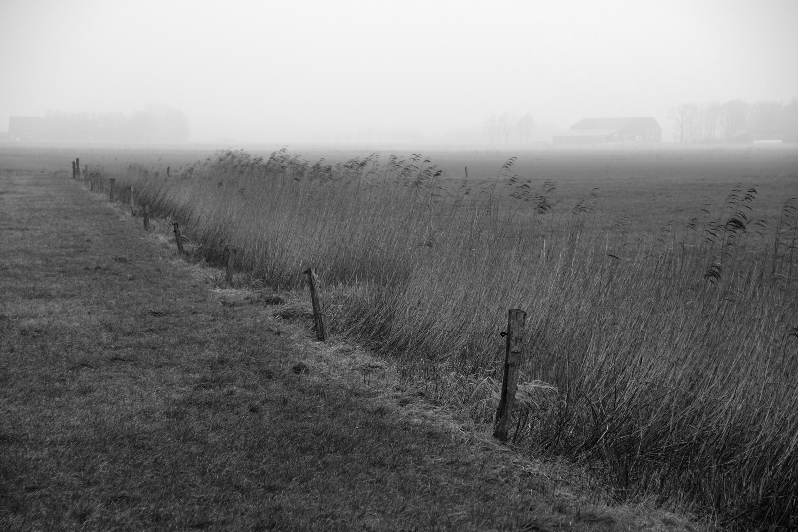 Winter in Friesland