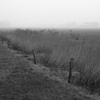 Winter in Friesland