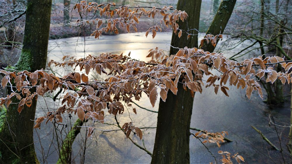 Winter in Gelsenkirchen