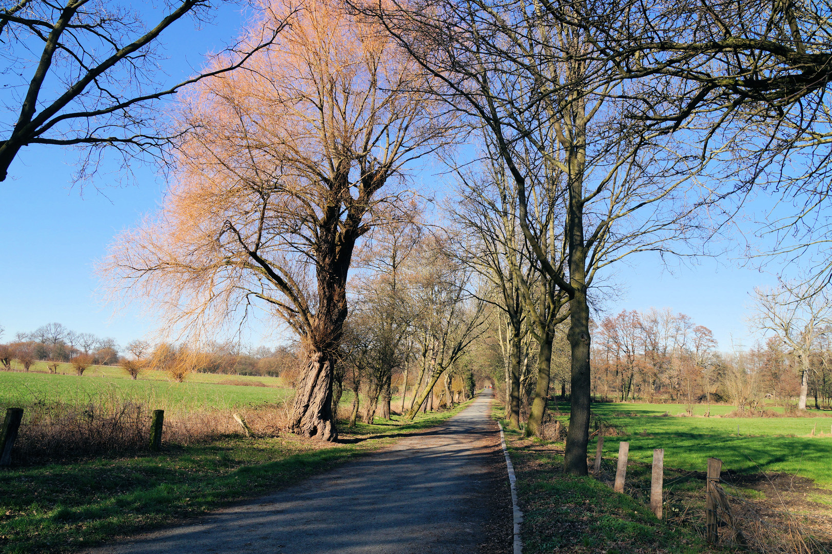 Winter in Gelsenkirchen