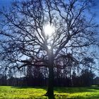 Winter in Gelsenkirchen