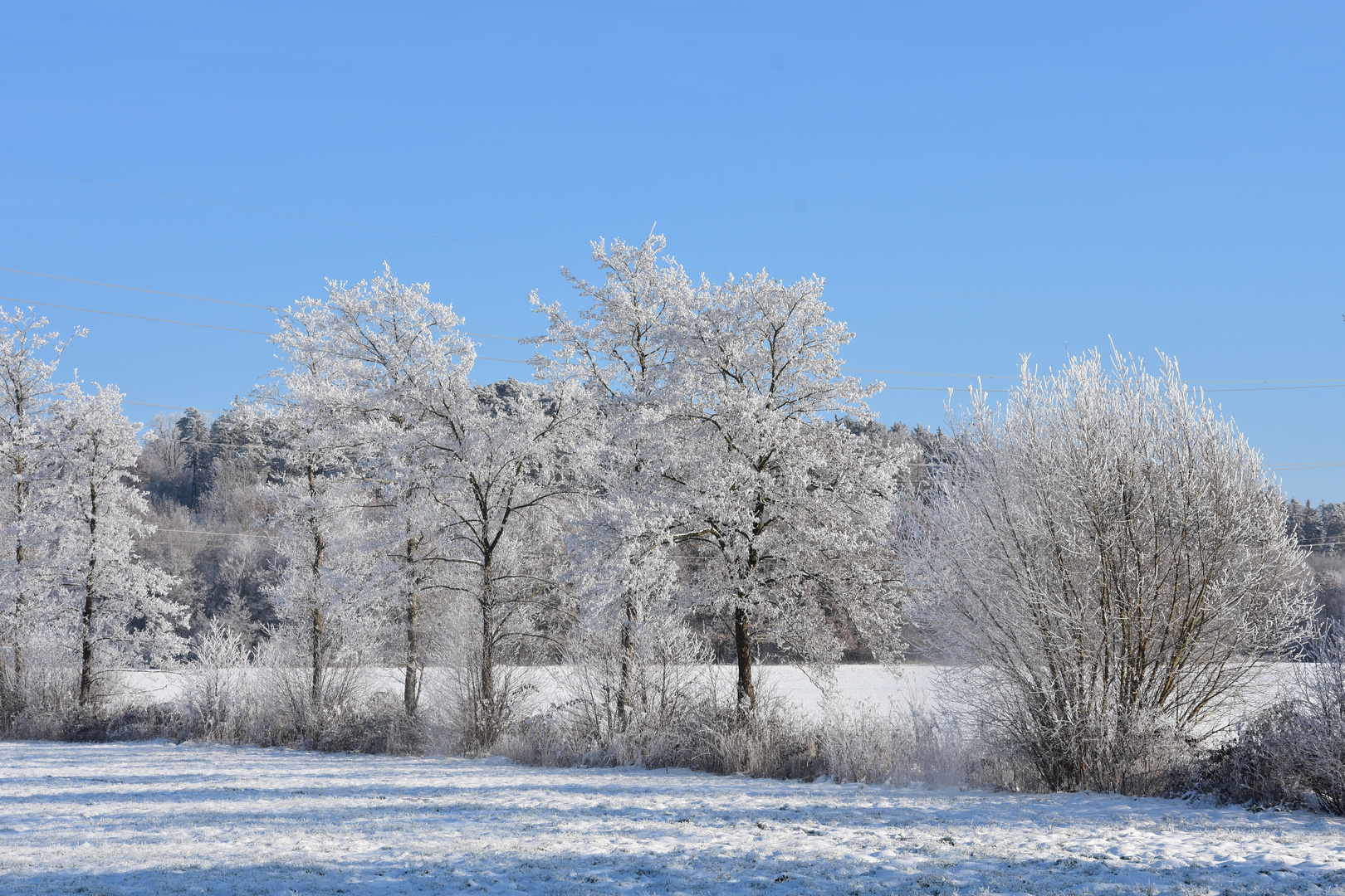 Winter in Germany