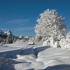 Winter in Gerold 4