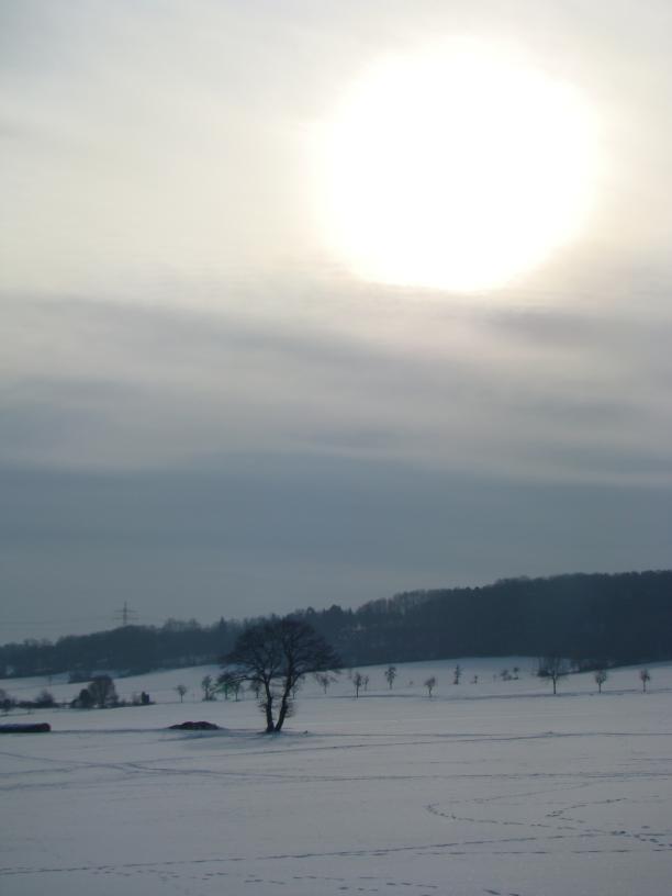 winter in göttingen