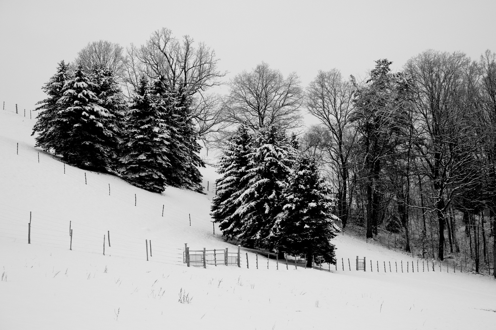 Winter in Gornsdorf