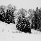 Winter in Gornsdorf