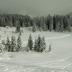 Winter in Gosau