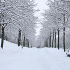 Winter in Goslar