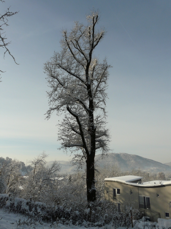 Winter in Graz