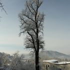 Winter in Graz