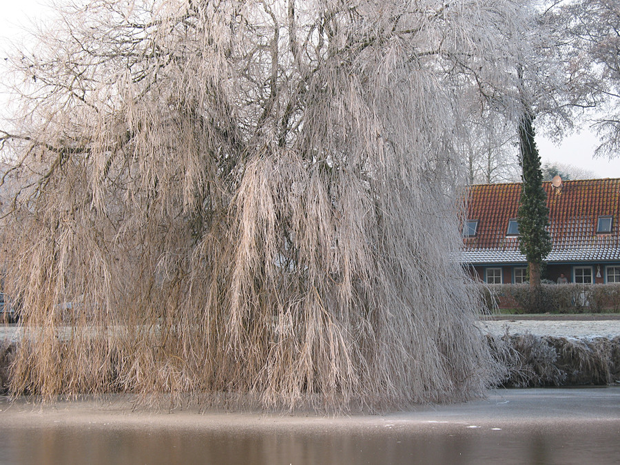 Winter in Greetsiel