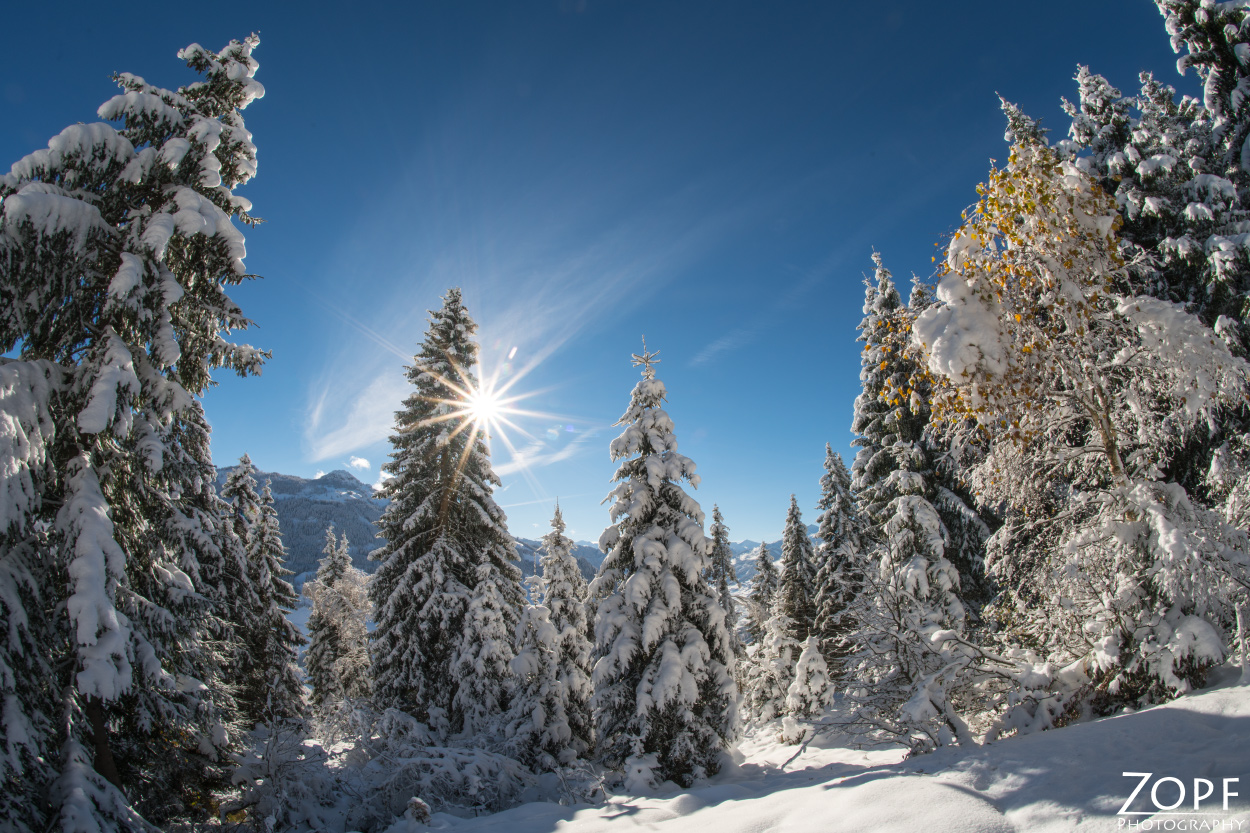 Winter in Großarl 