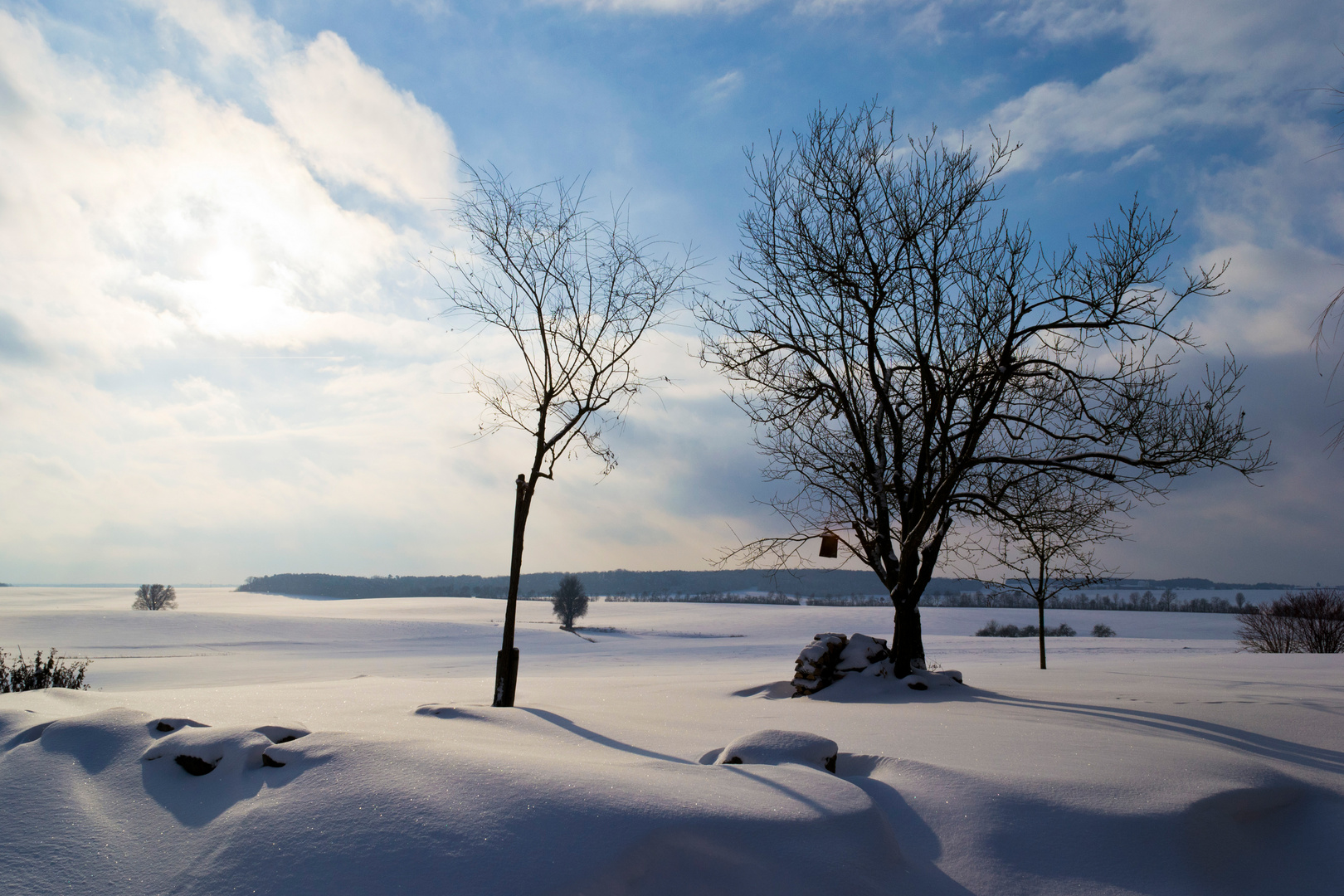 Winter in Großwenkheim